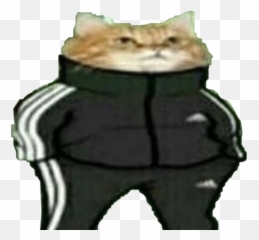 Kobling Penge Madlavning Cat In Adidas Tracksuit Meme Emoji,Squatting Slav Emoji