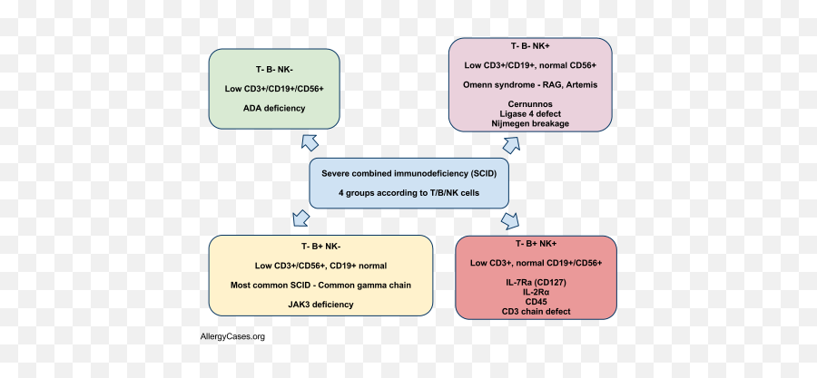 Discovery Of T - Cell Receptors Video T Cell Cell Medical Severe Combined Immunodeficiency Mnemonic Emoji,Theories Of Emotion Mnemonic