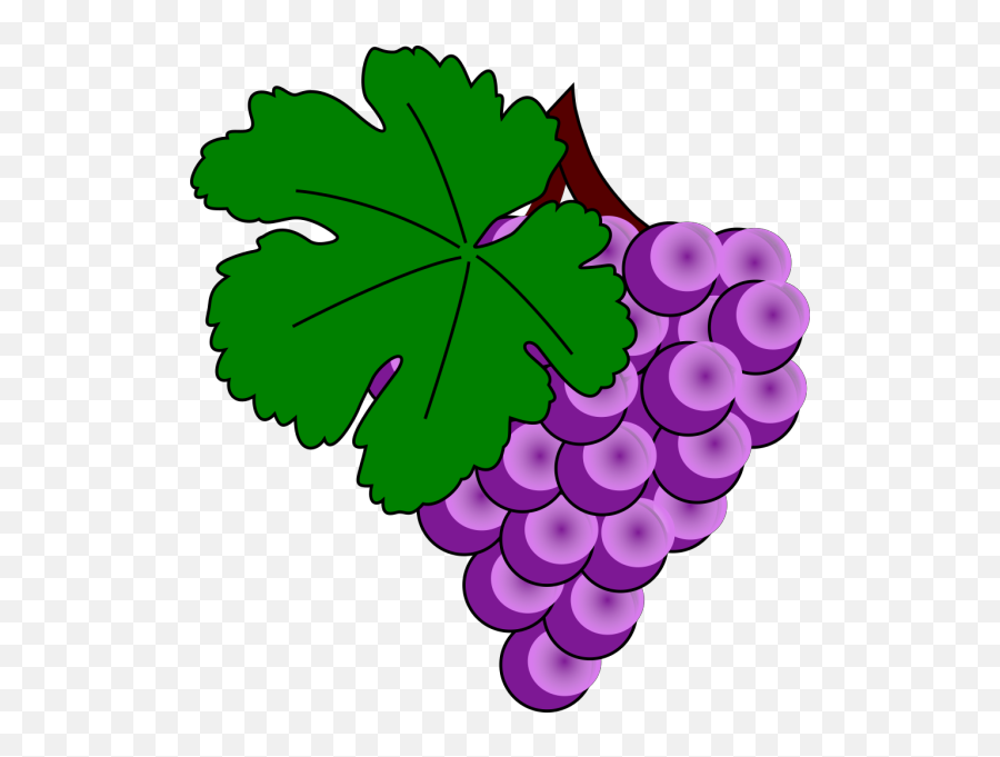 Grape Png Svg Clip Art For Web - Download Clip Art Png Emoji,Grape Emojis