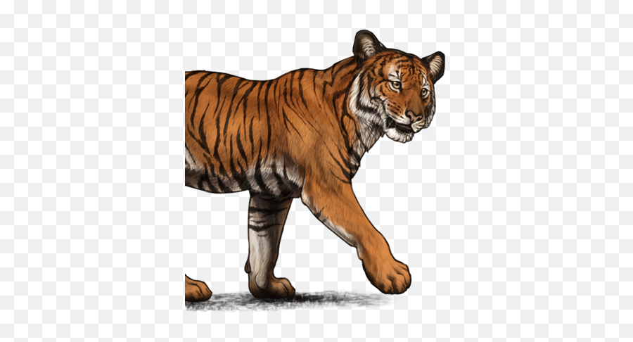 Lion Page Lioden Emoji,Bengal Tiger Emoji