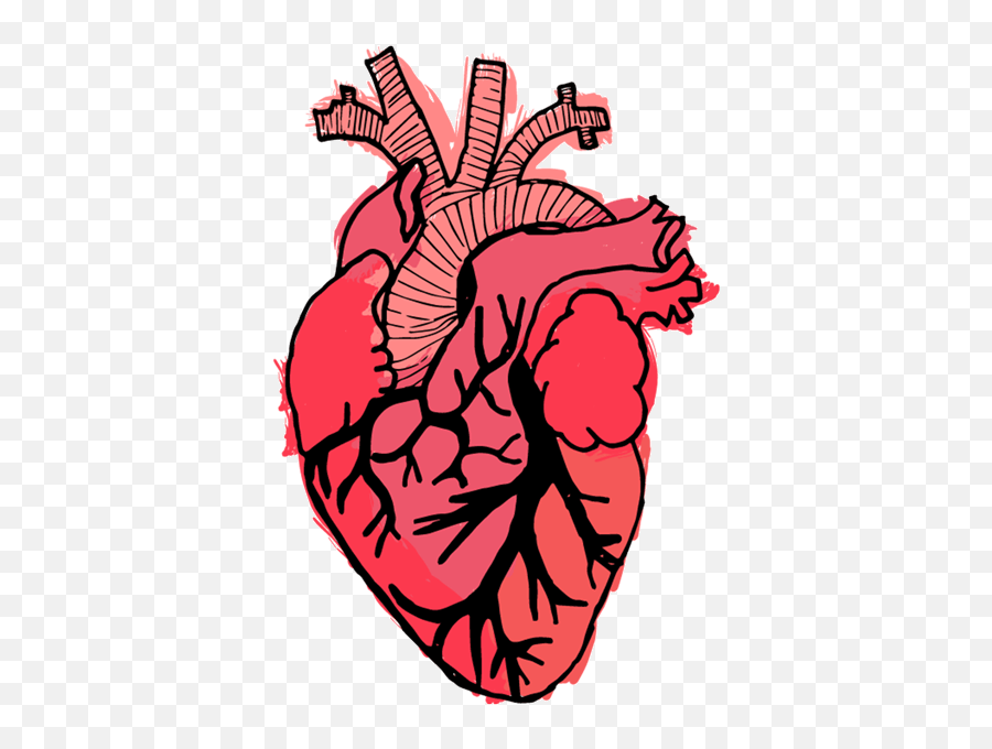 What The Health Canfar Emoji,Anatomically Correct Heart Emoji