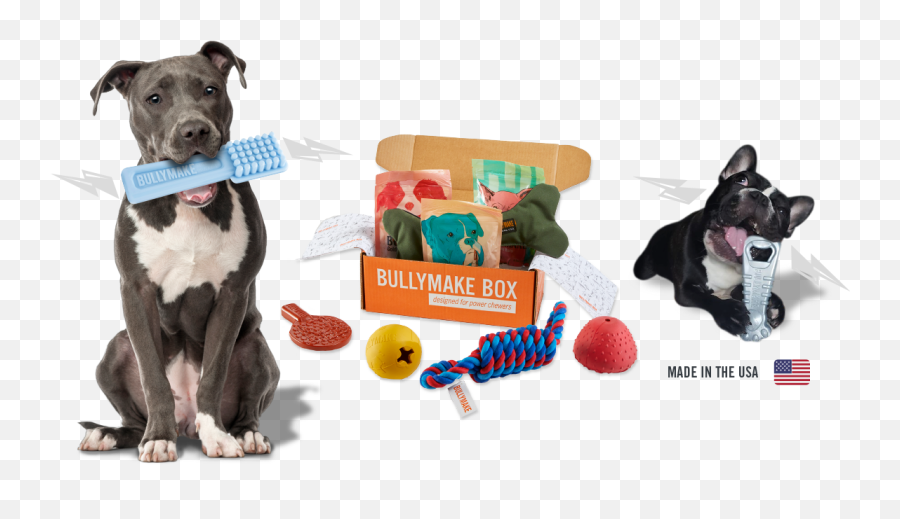 Bullymake Box - A Dog Subscription Box For Power Chewers Emoji,French Bulldog Emoji Discord