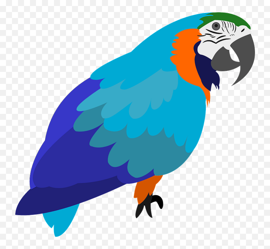 Parrot Clipart - Transparent Cartoon Parrot Png Emoji,Parakeet Emoji