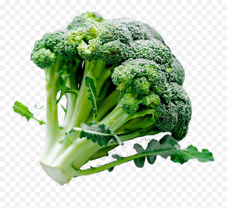 Brócoli Broccoli Vegetables Sticker - Broccoli Emoji,Broccoli Emoji Png