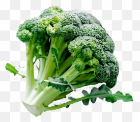 Brócoli Broccoli Vegetables Sticker - Broccoli Emoji,Broccoli Emoji Png