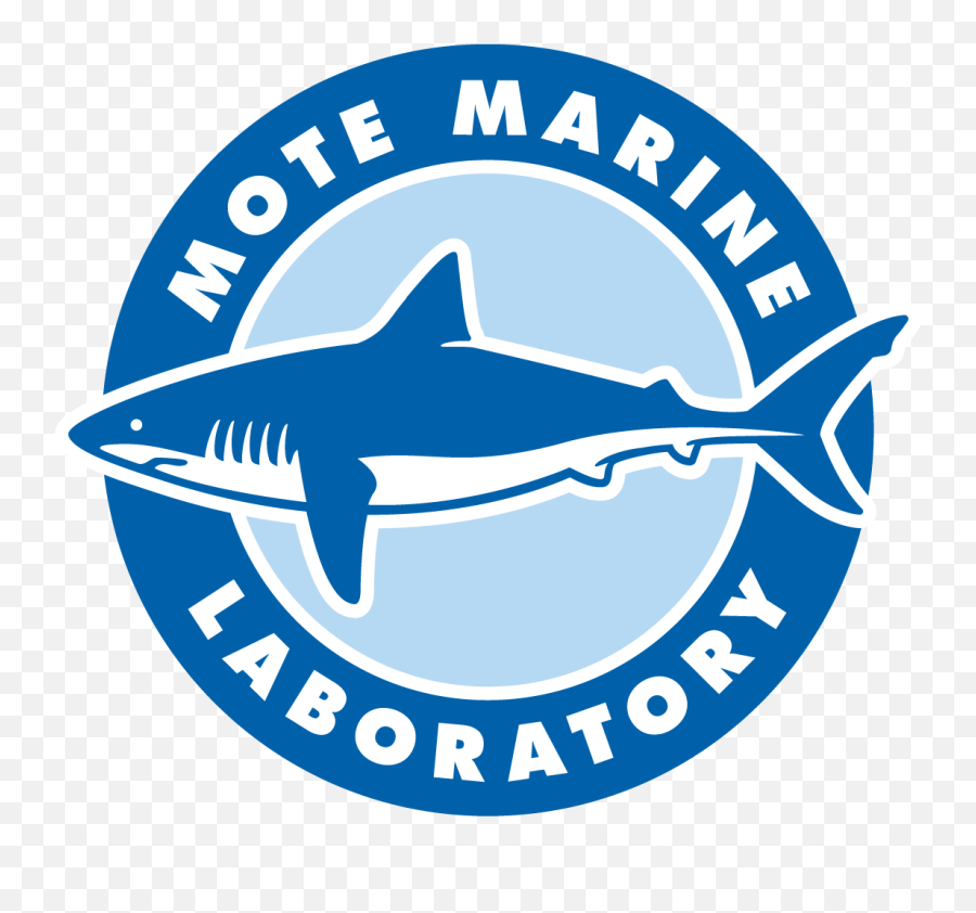 Center For Interactive Learning - Mote Marine Laboratory Emoji,Shark Emoji