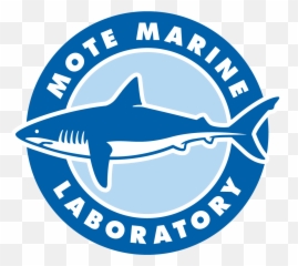 Center For Interactive Learning - Mote Marine Laboratory Emoji,Shark Emoji