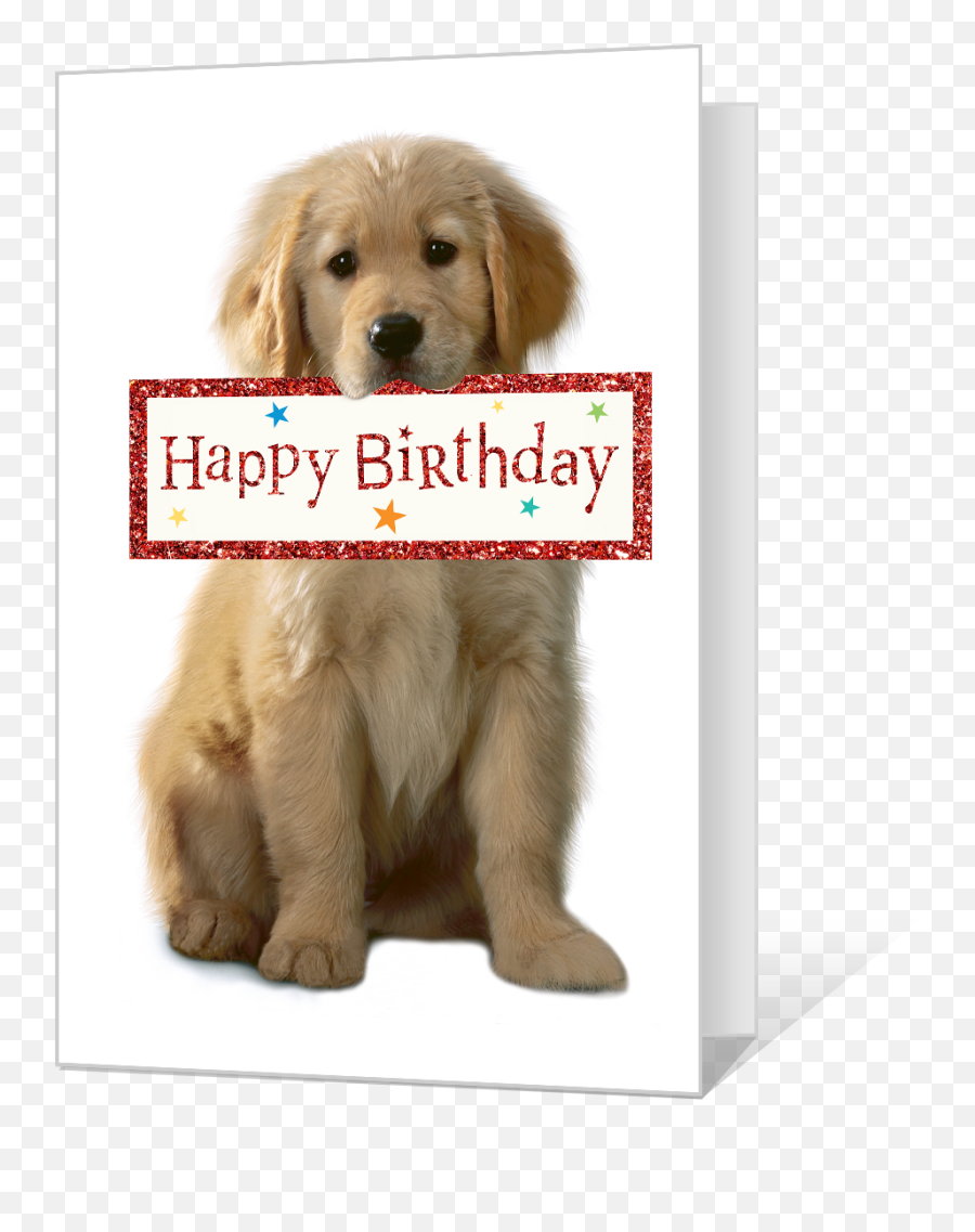 Celebrating Printable - Happy Birthday Golden Retriever Birthday Gif Emoji,Emoticon Happy Birthday Dog