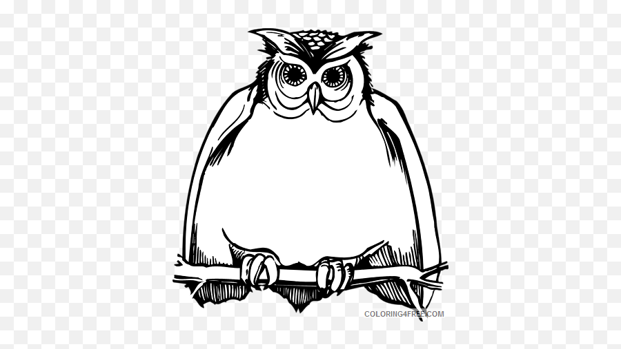 Owl Outline Coloring Pages Owl Black - Owls Cartoon Black And White Emoji,Hoot Owl Emojis