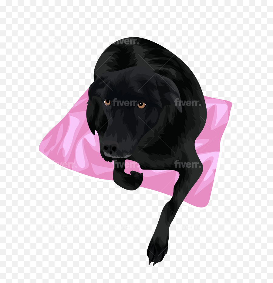 Make Vector Illustration Dog Cat Animal Pet Drawing Portrait - Newfoundland Dog Emoji,Big Blinking Puppy Dog Eyes Emoji