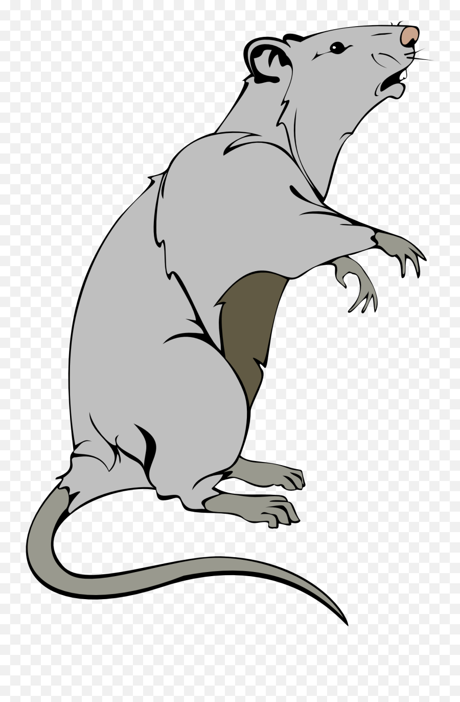 Grey Rat Stays On Hind Legs Drawing Free Image Download Emoji,Rat Locust Emotion