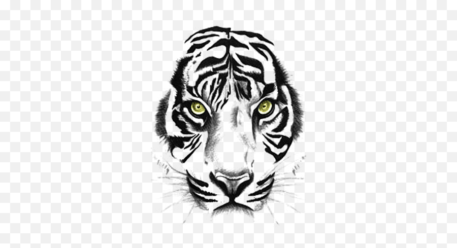 Animale Tiger Sumatra Tiger Tierwelt Tiger Tattoos Icons Emoji,Black And White Tattoo Emoji Clipart