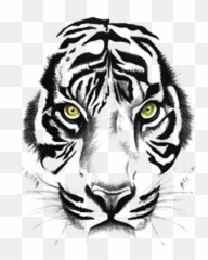 Animale Tiger Sumatra Tiger Tierwelt Tiger Tattoos Icons Emoji,Black And White Tattoo Emoji Clipart
