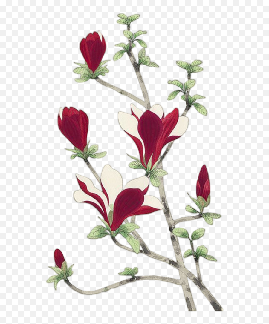 Salih Özer Adl Kullancnn Emoji - Lovely,Shrub Emoji