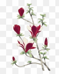 Salih Özer Adl Kullancnn Emoji - Lovely,Shrub Emoji