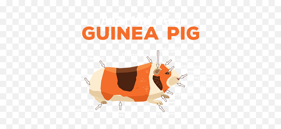 Anatomy Of A Guinea Pig Cute Pet Animal Lover Duvet Cover Emoji,We Need A Guinea Pig Emoji
