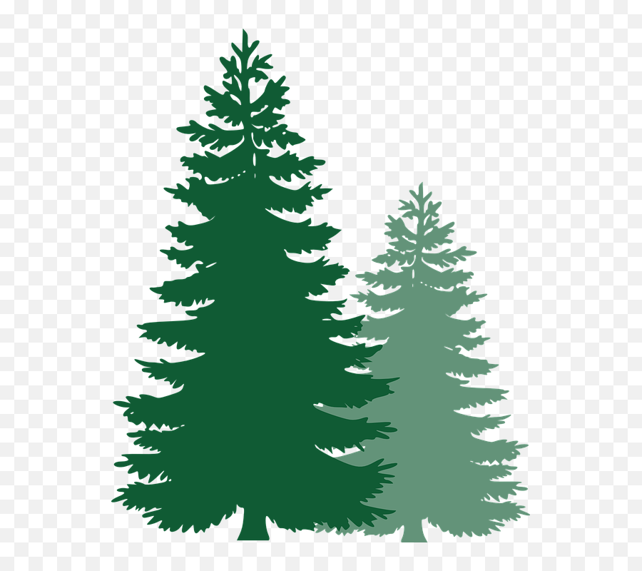 Free Pine Trees Png Download Free Clip - Pine Tree Png Clipart Emoji,Pine Tree Emoji