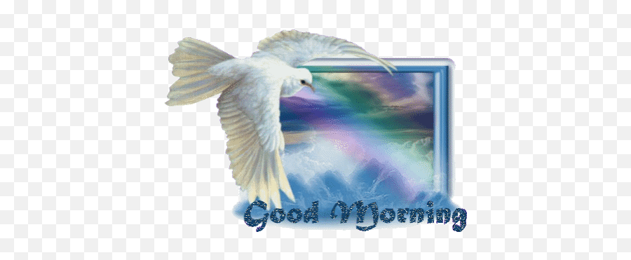 Top Flip The Bird Stickers For Android U0026 Ios Gfycat - Good Morning Pigeon Gif Emoji,Flipping Bird Emoji