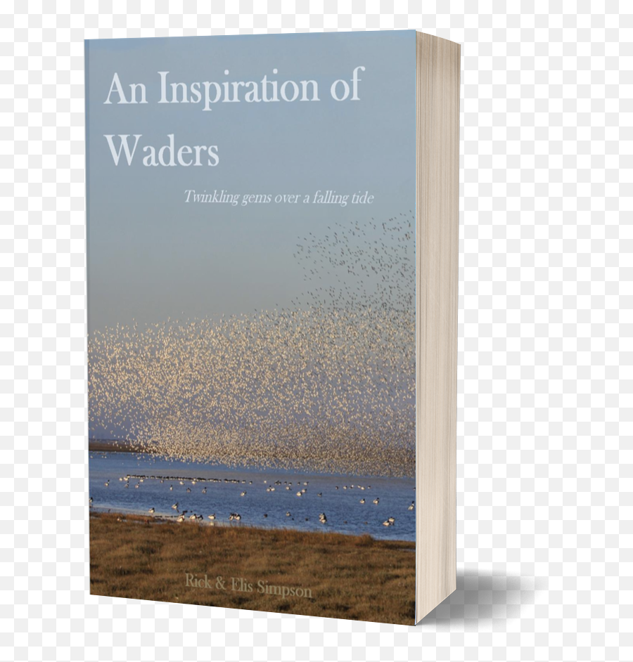 Books Published - Bird Migration Emoji,Book Where Emotions Are Outlawed And A Child Is Used To Be