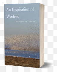Books Published - Bird Migration Emoji,Book Where Emotions Are Outlawed And A Child Is Used To Be