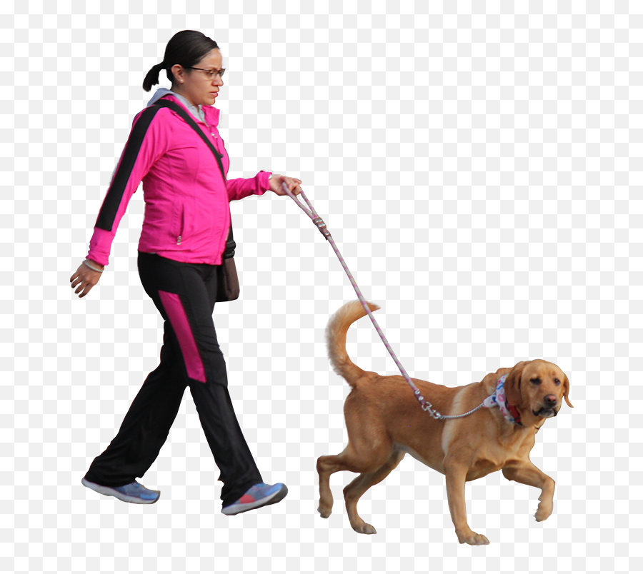 Silhouettedog Walkingcanidaedogleashcani Crosssporting - Transparent Walking Dog Png Emoji,Walking My Dog Emojis