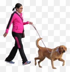 Silhouettedog Walkingcanidaedogleashcani Crosssporting - Transparent Walking Dog Png Emoji,Walking My Dog Emojis