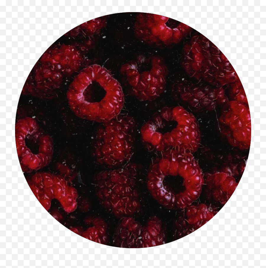 Raspberry Red Aesthetic Sticker - Wineberry Emoji,Raspberry Emoji