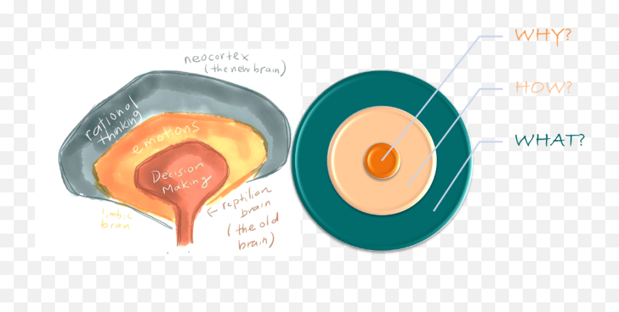 Start With Why U2013 Sadhana Emoji,Brain Sections Of Emotions