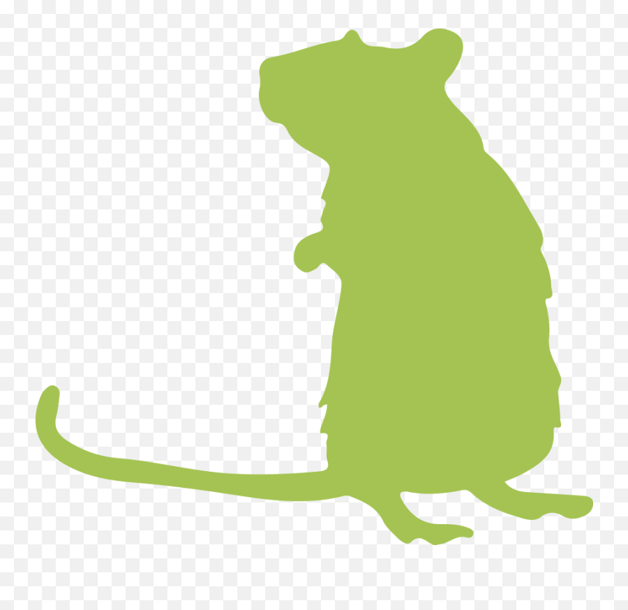 Small Animals Vitakraft International Emoji,Rat Locust Emotion