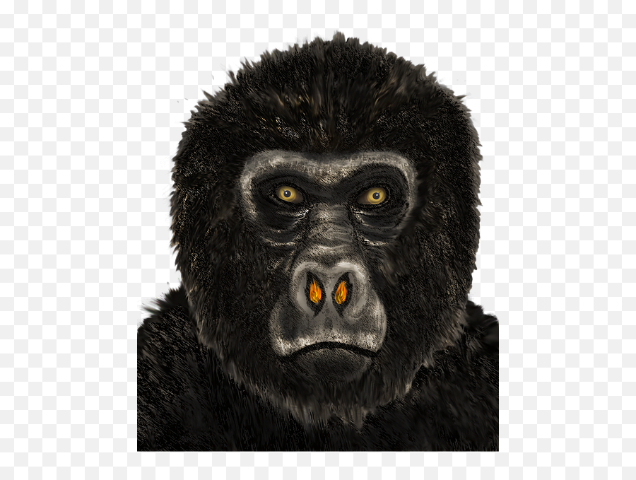 Home Filthy Knowledge Publications Emoji,Gorillas Emotions