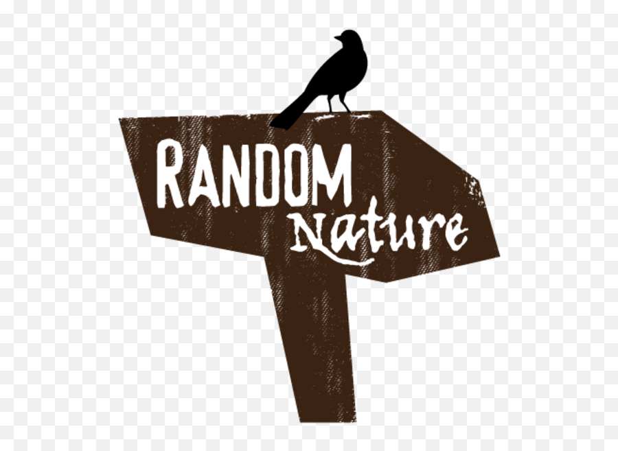 Random Nature - Variety Band Waconia Mn The Bash Old World Flycatchers Emoji,Smokey Robinson I Second That Emotion