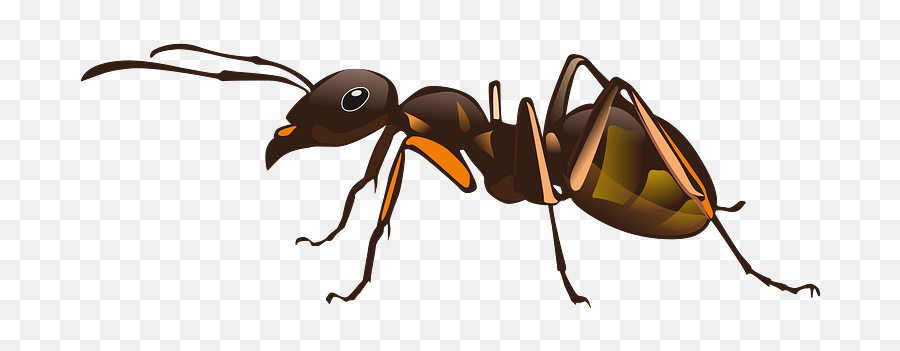 Ant Clipart - Ant Design Emoji,Sleep Ant Ladybug Ant Emoji