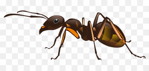 Ant Clipart - Ant Design Emoji,Sleep Ant Ladybug Ant Emoji