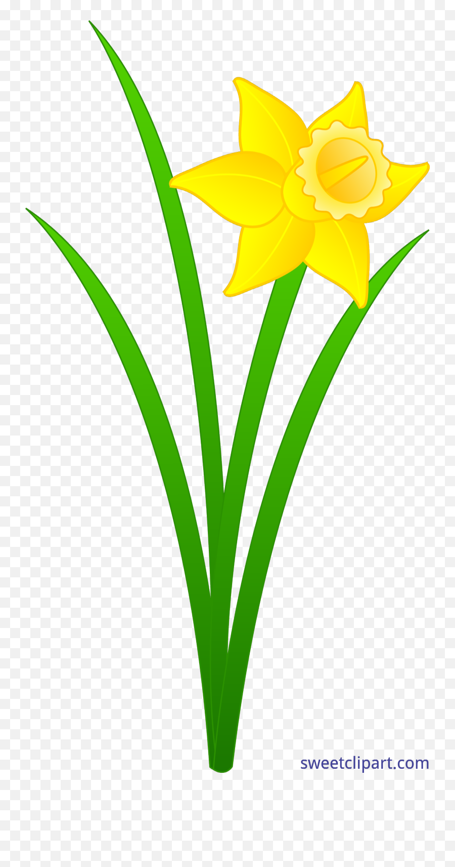 Daffodil Clipart Leek Daffodil Leek Transparent Free For - Clip Art Daffodil Emoji,Thistle Emoji