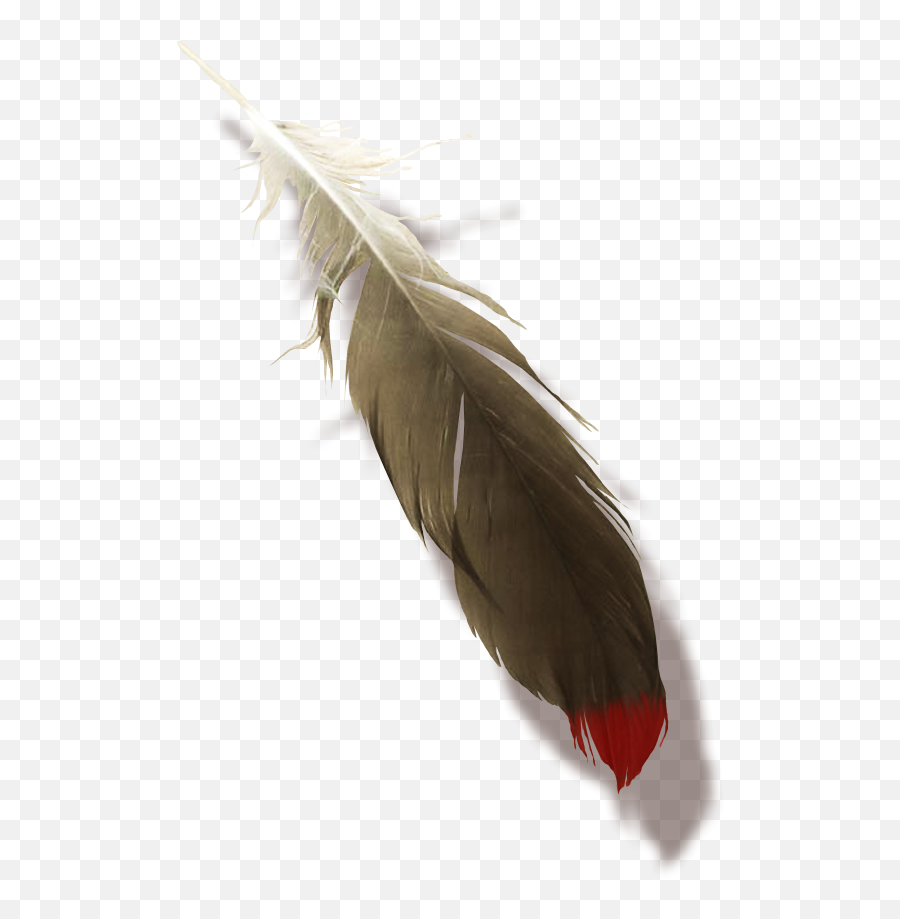 Native American Feathers Transparent Background Emoji,Emoji De Amabilidad