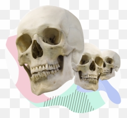 The Wattys - Scary Emoji,Dirty Computer Emotion Picture Awards