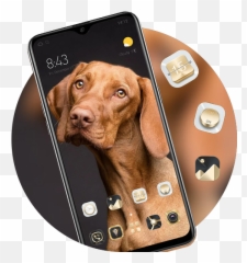 Animal Theme Cute Yellow Big Dog Bright - Smartphone Emoji,Vizsla Emoji