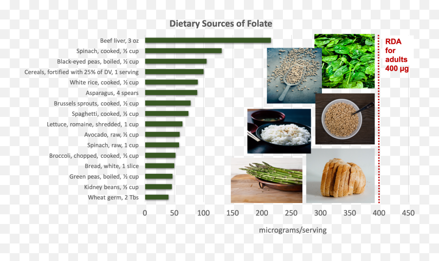 In Energy Metabolism - Sources Of Folate Emoji,