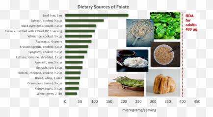 In Energy Metabolism - Sources Of Folate Emoji,