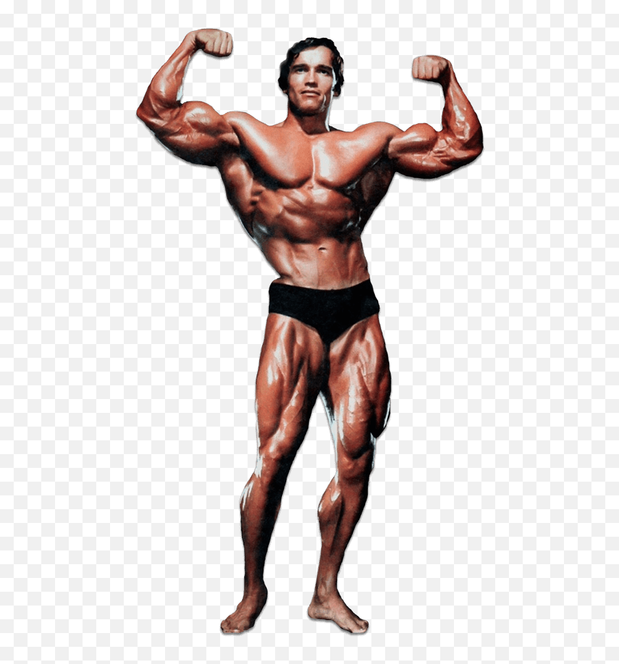 Bodybuilding Motivational Poster Png - Arnold Schwarzenegger Png Emoji,Schwarzenegger Is Not An Emotion