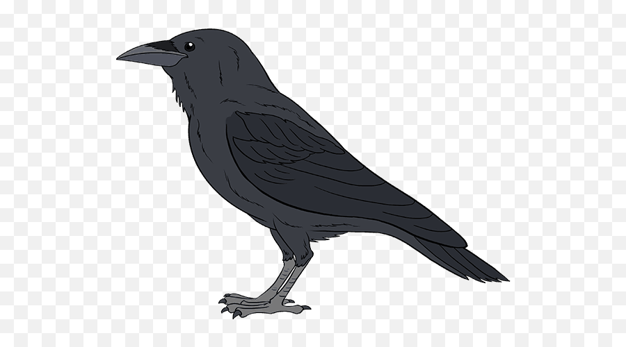 Common Raven Drawing Bird Tutorial - Easy Raven Drawing Emoji,Tatoral On How To Draw A Emoji