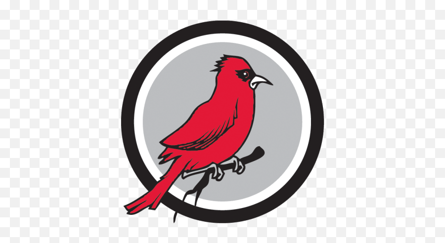 Schools - William R Davie Elementary School Emoji,Red Cardinal Bird Emoji