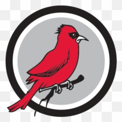 Schools - William R Davie Elementary School Emoji,Red Cardinal Bird Emoji