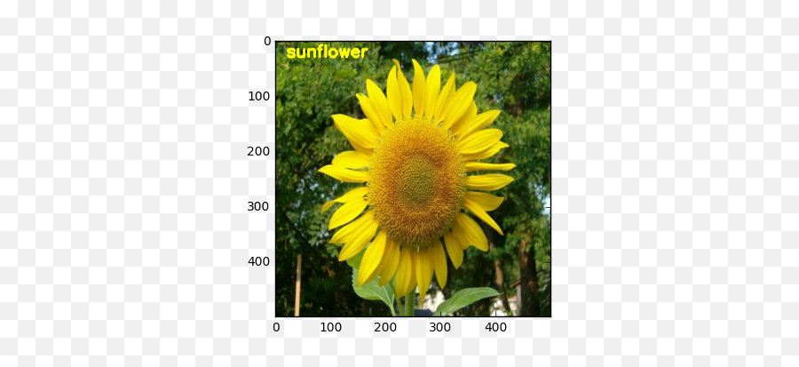 Image Classification Using Python And Scikit - Learn U2013 Gogul Common Sunflower Emoji,Generate Random Flower Emojis Javascript