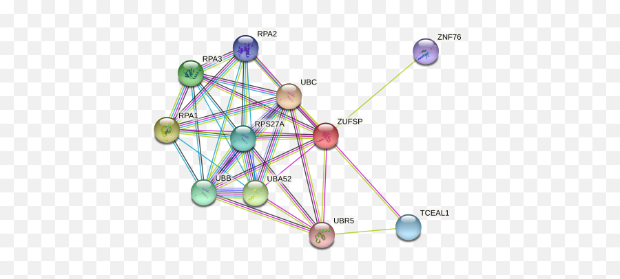 Zufsp Protein Human - String Interaction Network Emoji,Emotion Regulation Circuit