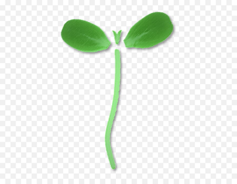 Home Seedleaf Microgreens Crop Planning Software Emoji,Basil Leaf Emoji