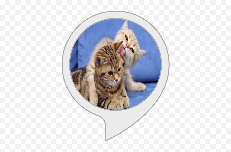 Amazoncom Cat Sounds Alexa Skills Emoji,Purring Cat Emoji