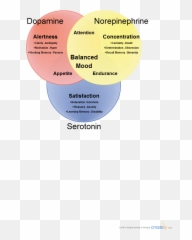 Dopamine Norepinephrine Serotonin - Serotonin Norepinephrine Dopamine Venn Diagram Emoji,Dopamine Emotions