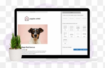 Write A Successful Fundraising Email - Flowerpot Emoji,Dogs Trust Emoji