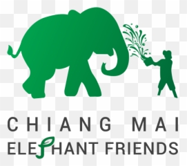 Captivity And Ethical Elephant Tours - Language Emoji,Elephant Touching Dead Elephant Emotion